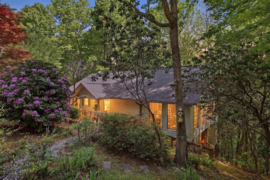 584 Battle Branch Vistas