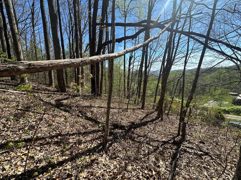 Photo of 0 Forest Rose Ln, Sylva, NC 28779 (MLS # 26047347)