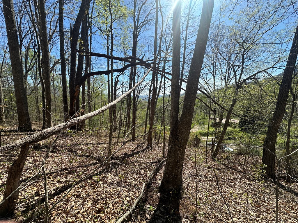 0 Forest Rose Ln