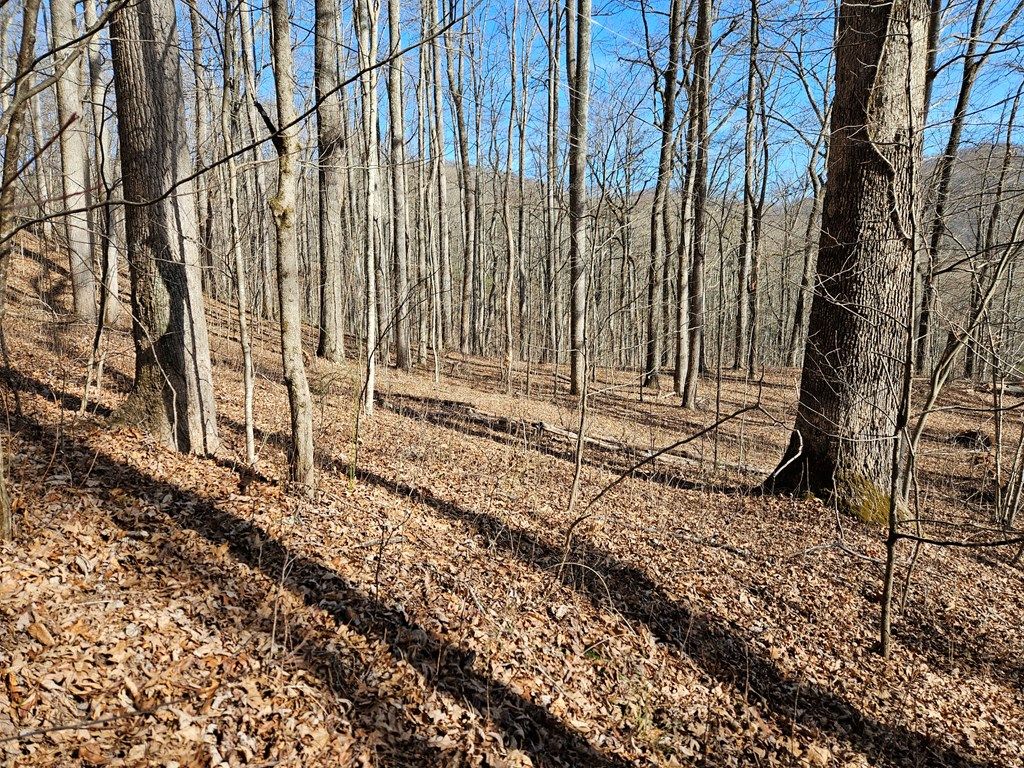 Photo of 262 Si Knob Rd, Cullowhee, NC 28723 (MLS # 26046613)