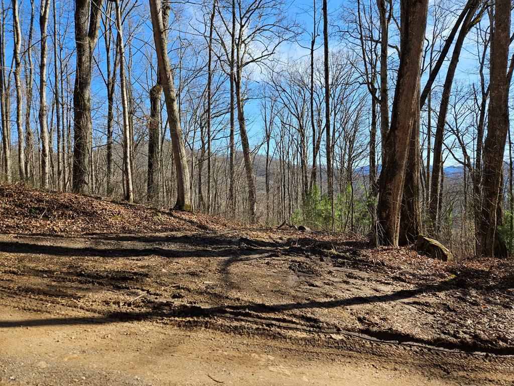 Photo of 262 Si Knob Rd, Cullowhee, NC 28723 (MLS # 26046613)