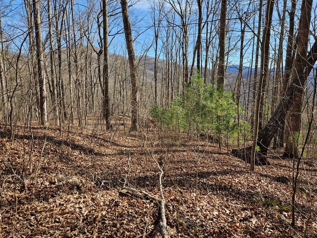 Photo of 262 Si Knob Rd, Cullowhee, NC 28723 (MLS # 26046613)