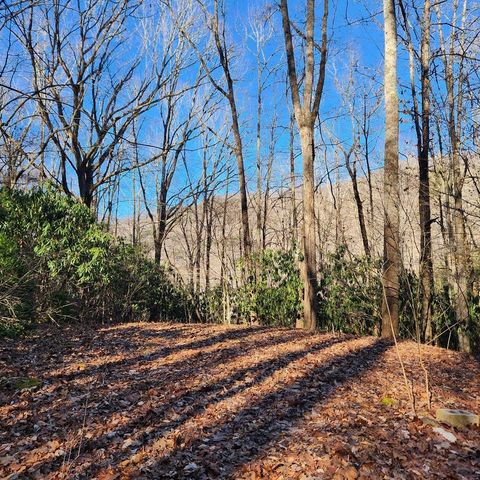 Photo of 165 Holly Ln, Franklin, NC 28734 (MLS # 26041223)
