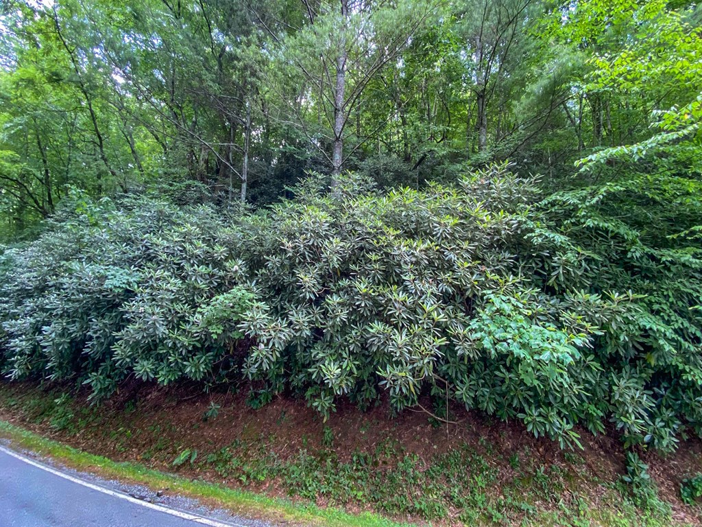 0 Ridgepole Dr