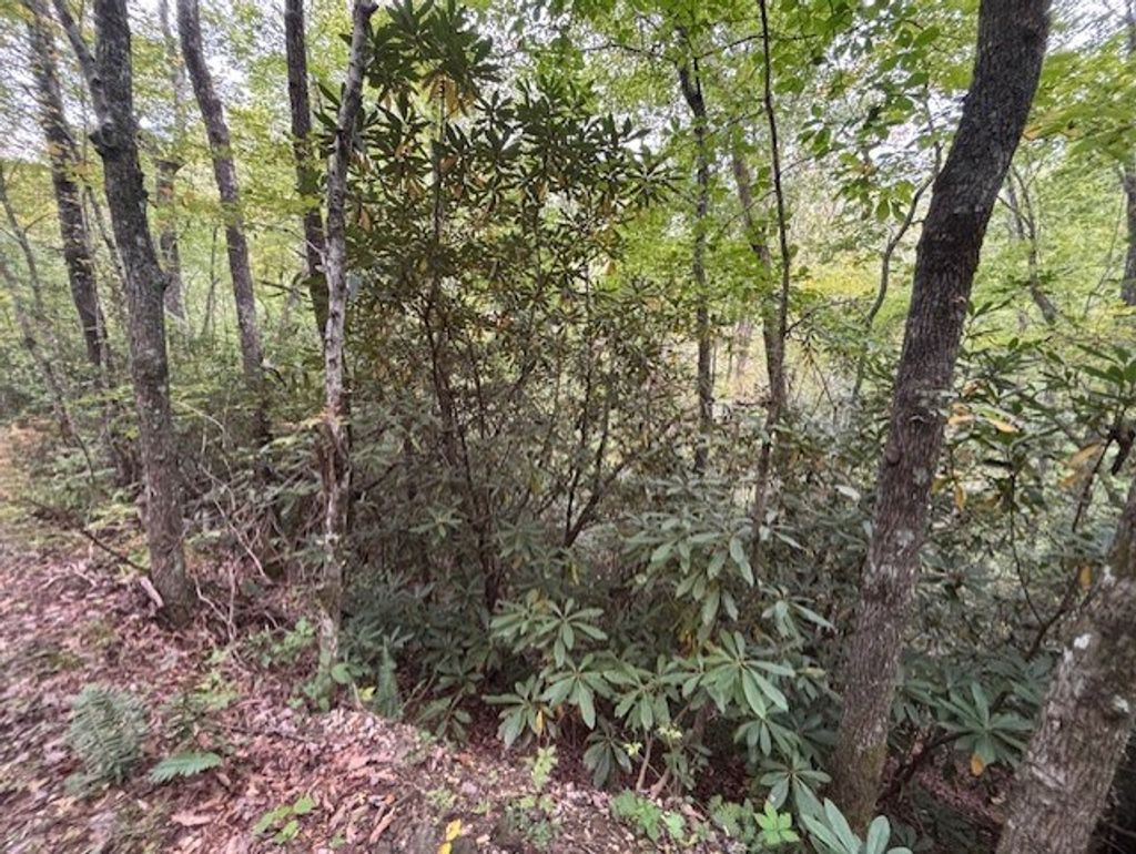 Photo of 0 Fox Run Road, Bryson City, NC 28713 (MLS # 26042250)
