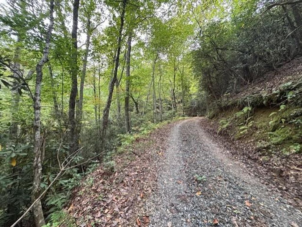 Photo of 0 Fox Run Road, Bryson City, NC 28713 (MLS # 26042250)