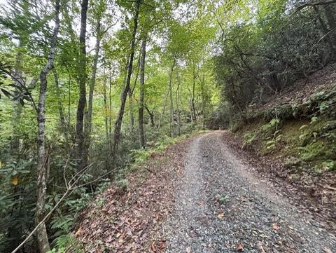Photo of 0 Fox Run Road, Bryson City, NC 28713 (MLS # 26042250)