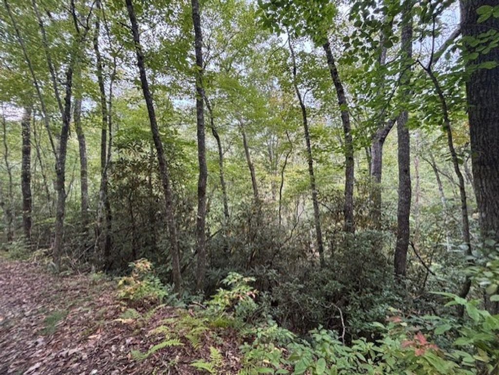 Photo of 0 Fox Run Road, Bryson City, NC 28713 (MLS # 26042250)