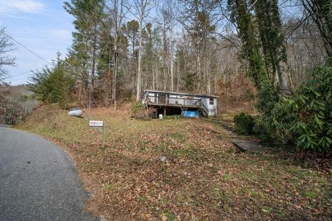 Photo of 7065 Ellijay Road, Franklin, NC 28734 (MLS # 26042906)