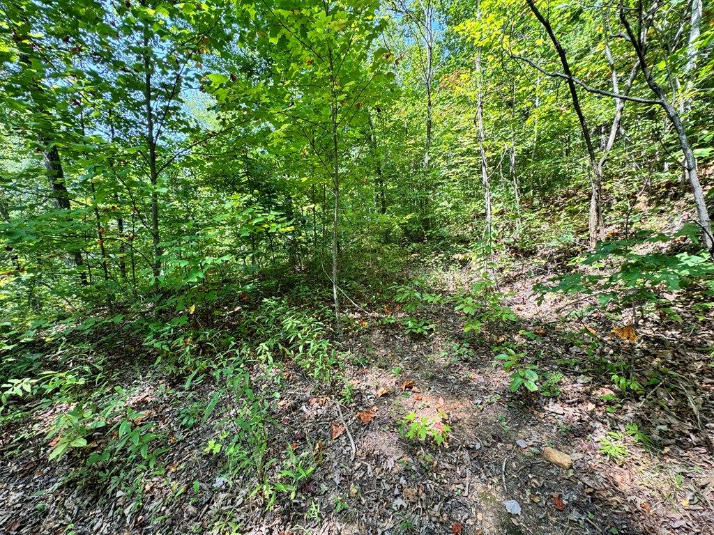 Photo of Lot 34 Black Walnut St, Bryson City, NC 28713 (MLS # 26037851)