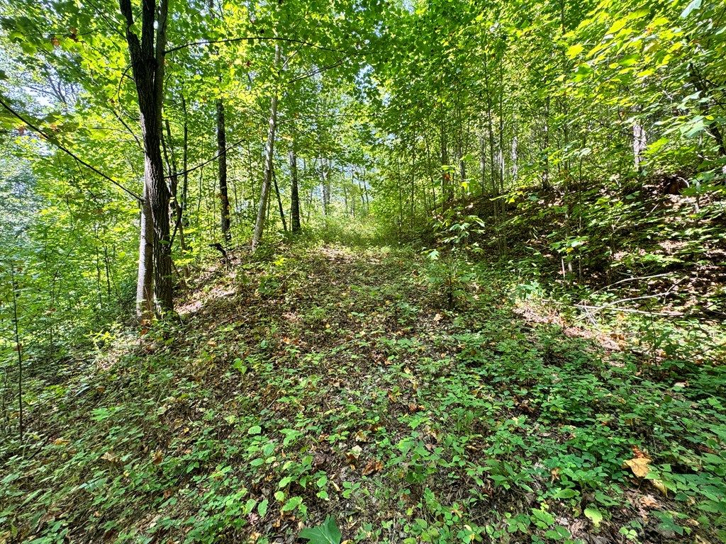 Photo of Lot 34 Black Walnut St, Bryson City, NC 28713 (MLS # 26037851)