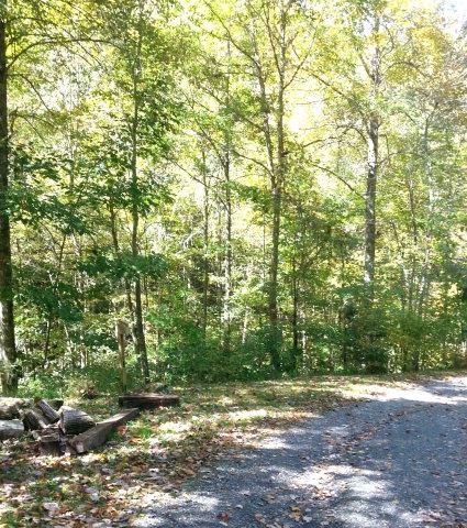 Photo of 00 Dicks Creek Rd, Whittier, NC 28789 (MLS # 26048068)
