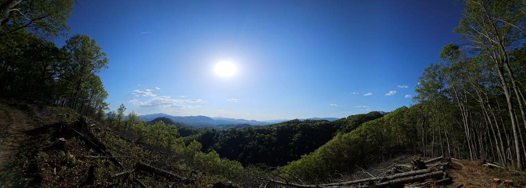 Photo of LOT 72 Bobcat Trl, Bryson City, NC 28713 (MLS # 26047094)