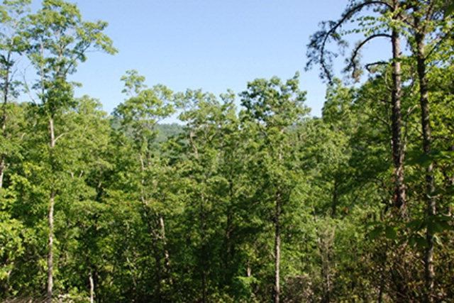 Lot 5 Flint Ridge Rd