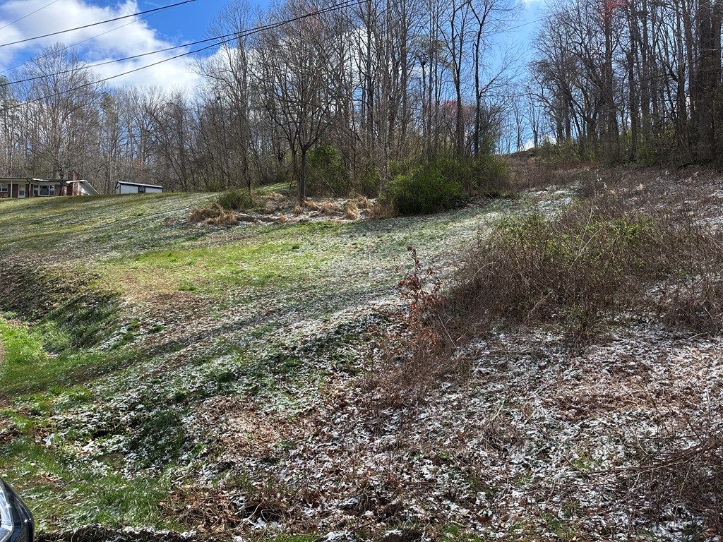 Photo of 0 Lee St, Sylva, NC 28779 (MLS # 26046647)