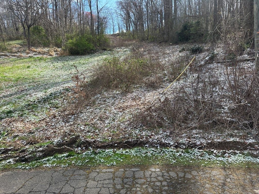 Photo of 0 Lee St, Sylva, NC 28779 (MLS # 26046647)