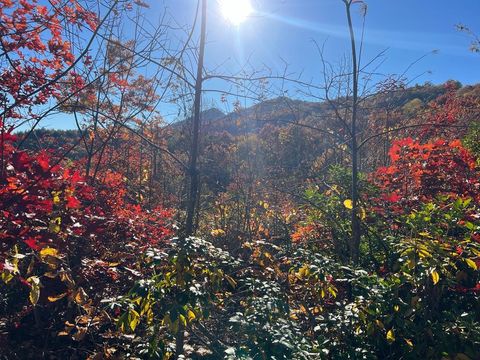 Photo of Lot 66 Musket Rd, Almond, NC 28702 (MLS # 26042596)