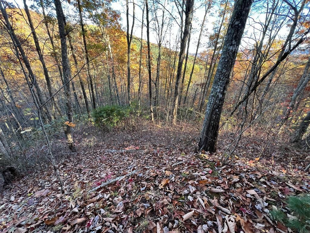 Photo of Lot 66 Musket Rd, Almond, NC 28702 (MLS # 26042596)