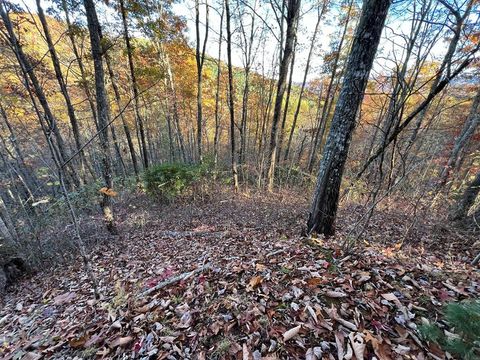 Photo of Lot 66 Lot 66 Musket Rd, Almond, NC 28702 (MLS # 26042596)
