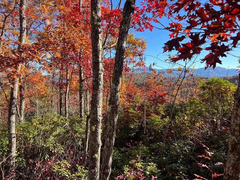 Photo of Lot 66 Musket Rd, Almond, NC 28702 (MLS # 26042596)