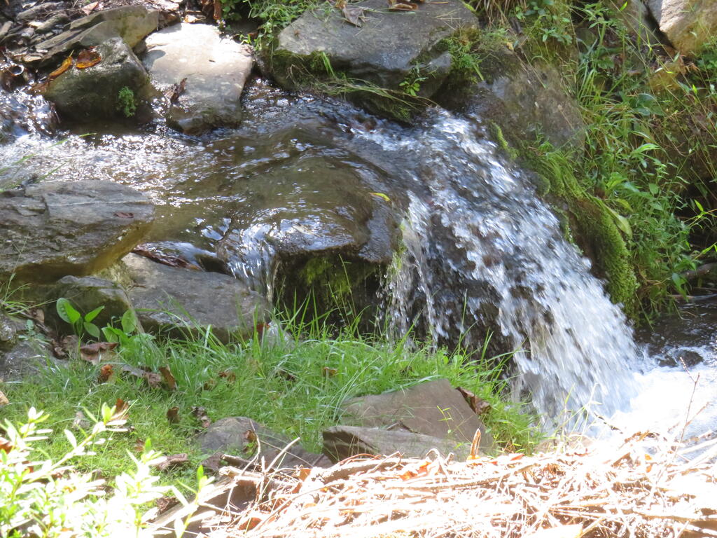 1364 Herron Branch