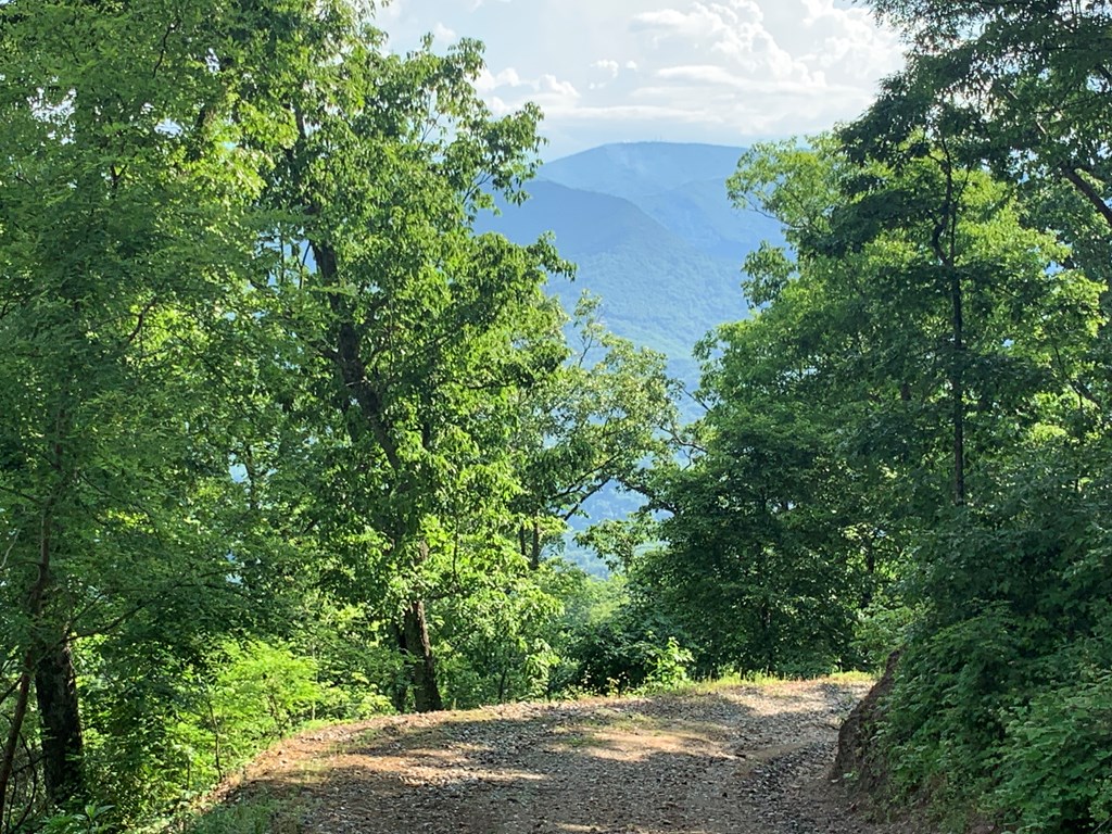 Sylva, North Carolina 28779, United States, ,Land,Pending,74764