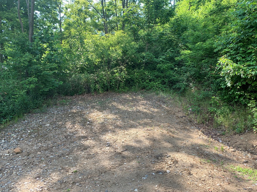 Sylva, North Carolina 28779, United States, ,Land,Pending,74764