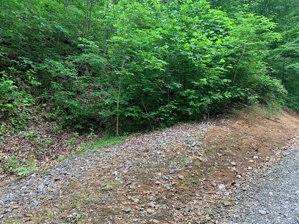 Sylva, North Carolina 28779, United States, ,Land,Pending,74764