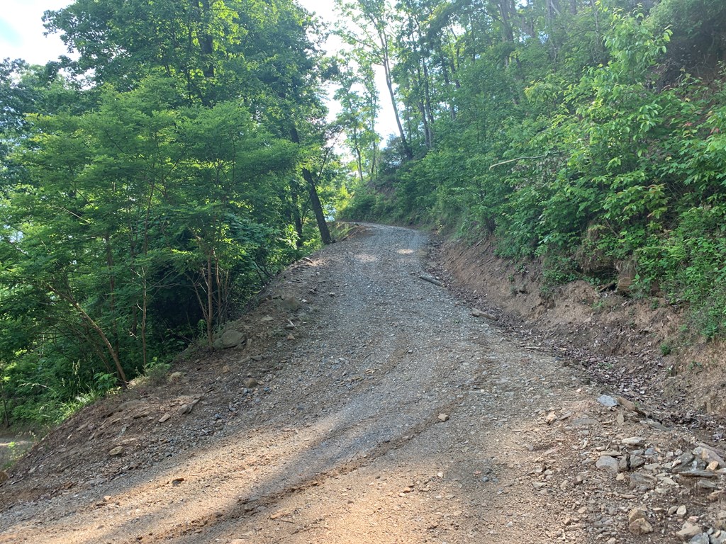 Sylva, North Carolina 28779, United States, ,Land,Pending,74764