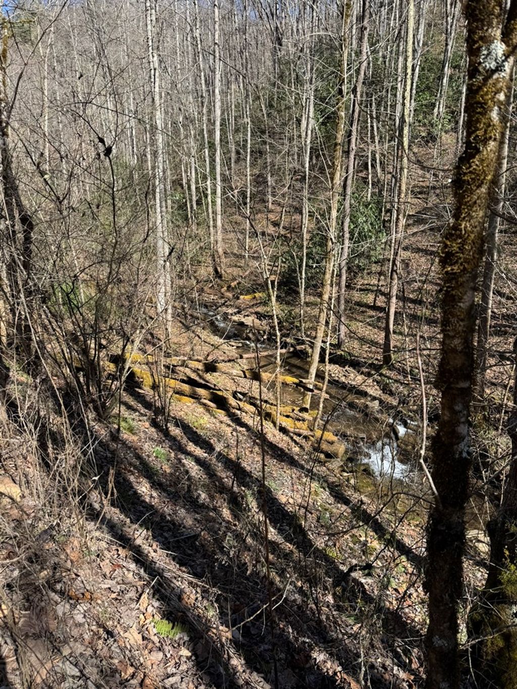 Photo of Tract B Cane Creek, Cullowhee, NC 28723 (MLS # 26046631)