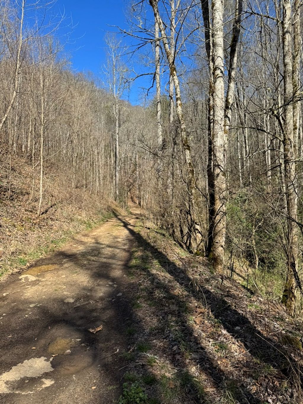 Photo of Tract B Cane Creek, Cullowhee, NC 28723 (MLS # 26046631)