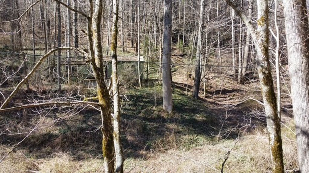 Photo of 000 Pumpkintown Rd, Sylva, NC 28779 (MLS # 26045410)