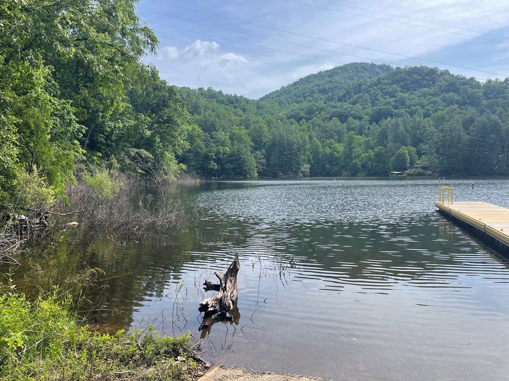 Photo of 2642 Canada Road, Tuckasegee, NC 28783 (MLS # 26041210)