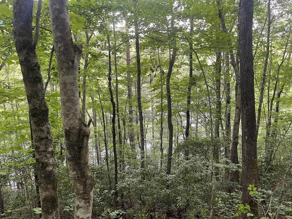 Photo of 2642 Canada Road, Tuckasegee, NC 28783 (MLS # 26041210)