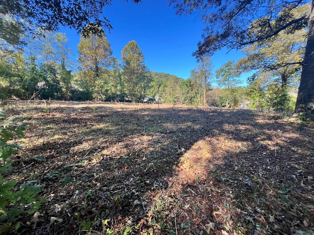 Photo of 0 Brendle St, Bryson City, NC 28713 (MLS # 26042279)