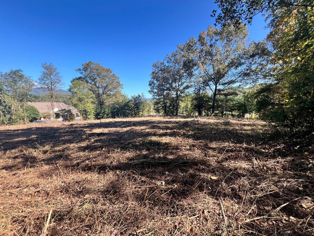 Photo of 0 Brendle St, Bryson City, NC 28713 (MLS # 26042279)