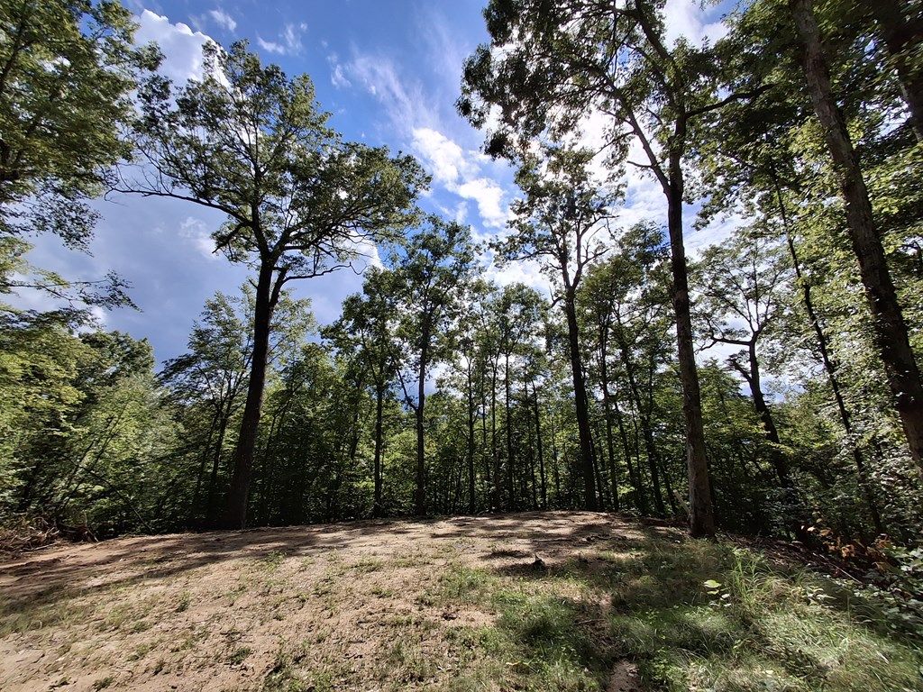 Photo of 79 Bacon Drive, Bryson City, NC 28713 (MLS # 26042027)