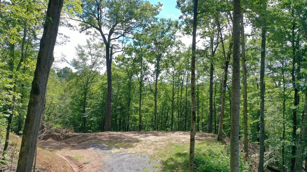Photo of 79 Bacon Drive, Bryson City, NC 28713 (MLS # 26042027)