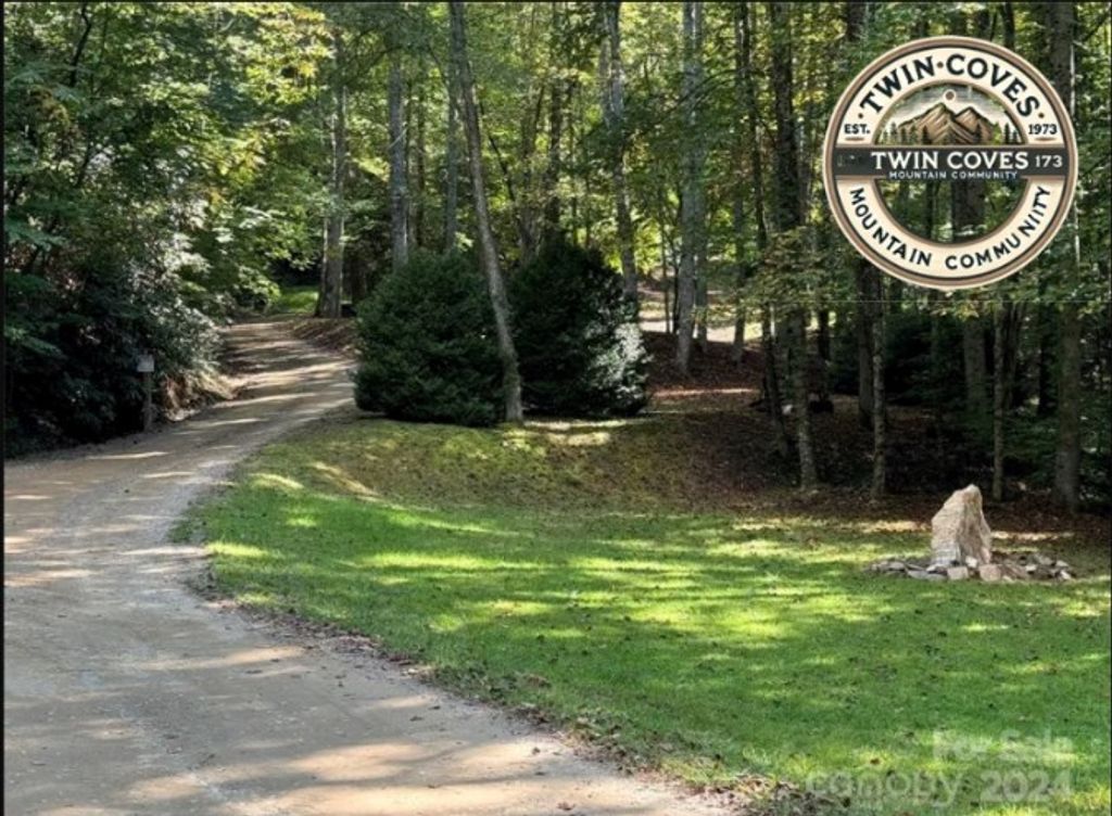 Photo of 429 Twin Coves Rd, Bryson City, NC 28713 (MLS # 26040990)