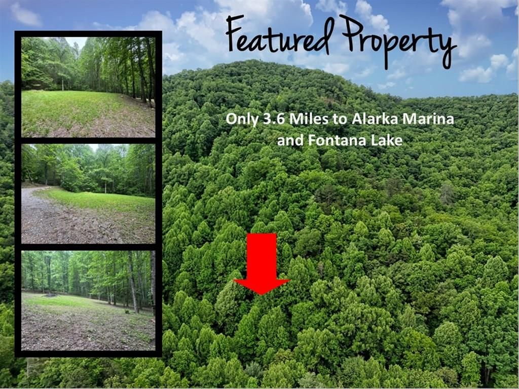 Photo of 429 Twin Coves Rd, Bryson City, NC 28713 (MLS # 26040990)