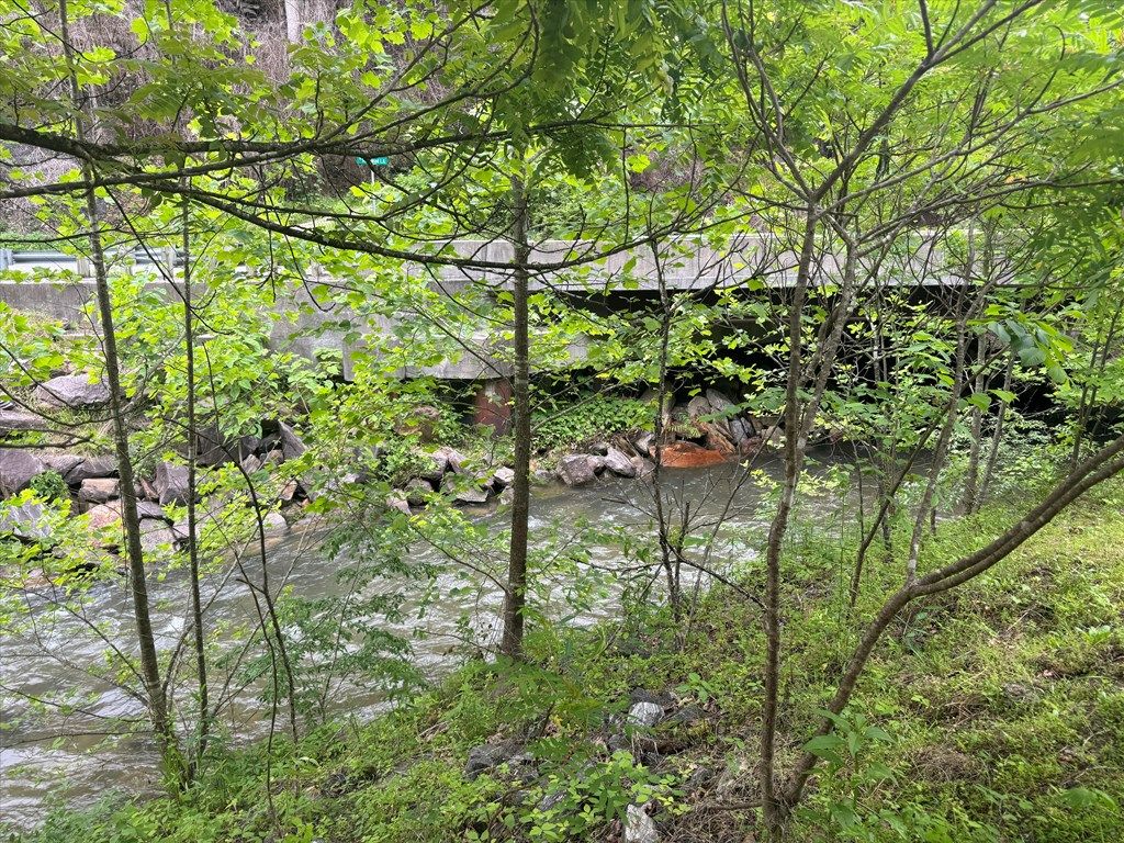 Photo of 429 Twin Coves Rd, Bryson City, NC 28713 (MLS # 26040990)