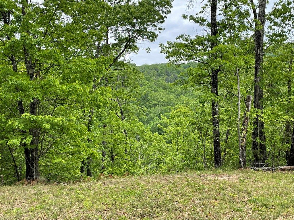 Photo of Lot 4 Butternut Ridge, Bryson City, NC 28713 (MLS # 26041400)