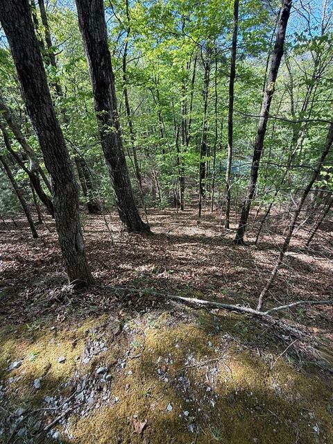 Photo of 00 Heritage Way, Otto, NC 28763 (MLS # 26046974)