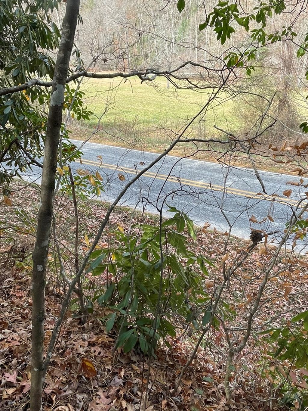 Photo of 0 Mountain Laurel Rd, Robbinsville (Graham), NC 28771 (MLS # 26042712)