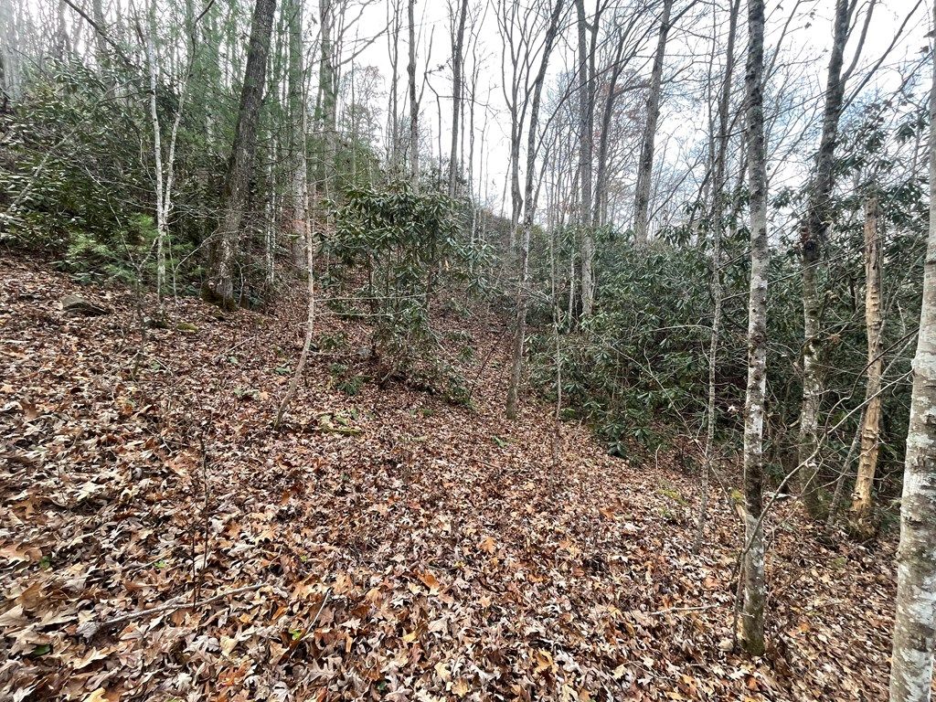 Photo of 0 Mountain Laurel Rd, Robbinsville (Graham), NC 28771 (MLS # 26042712)