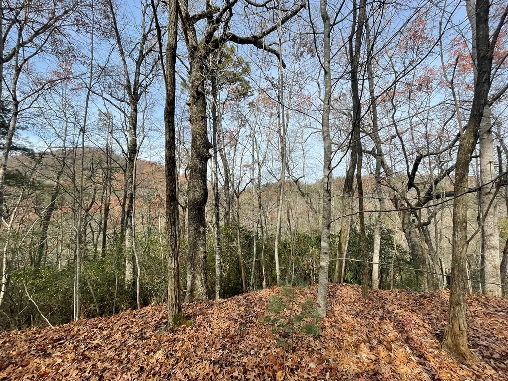 Photo of 0 Mountain Laurel Rd, Robbinsville (Graham), NC 28771 (MLS # 26042712)