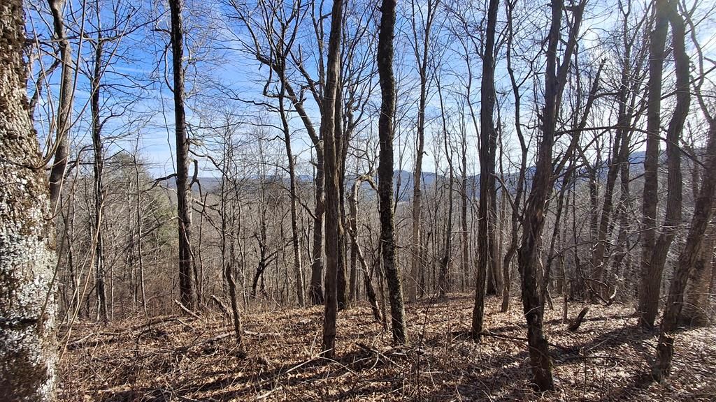 Photo of 0 Big Ridge Road, Glenville, NC 28736 (MLS # 26043145)