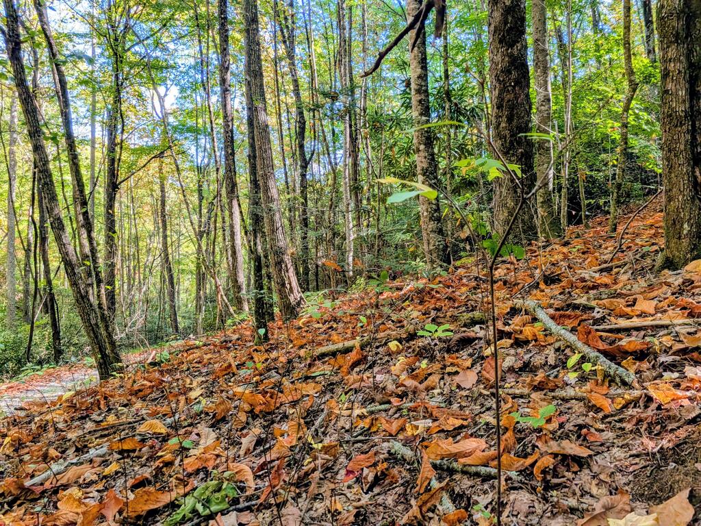 Photo of 6 Dogwood Ridge Murphy, Murphy, NC 28906 (MLS # 26048887)