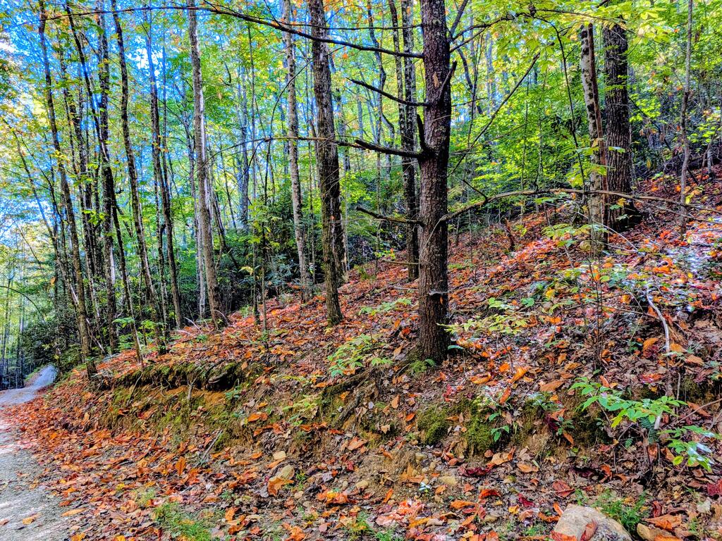Photo of 6 Dogwood Ridge Murphy, Murphy, NC 28906 (MLS # 26048887)