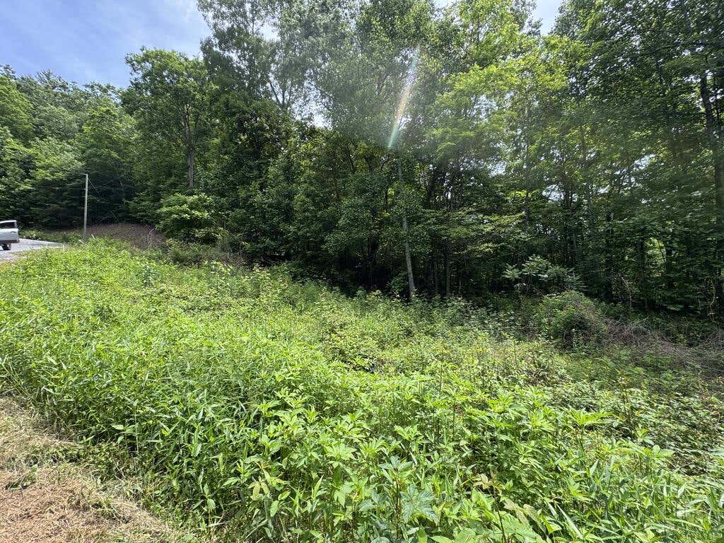 Photo of 394 Eagles Roost Rd, Bryson City, NC 28413 (MLS # 26048175)